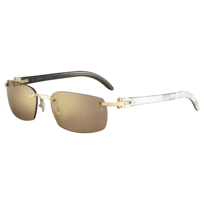 Sunglasses Cartier Gold CTR005 - Image 1