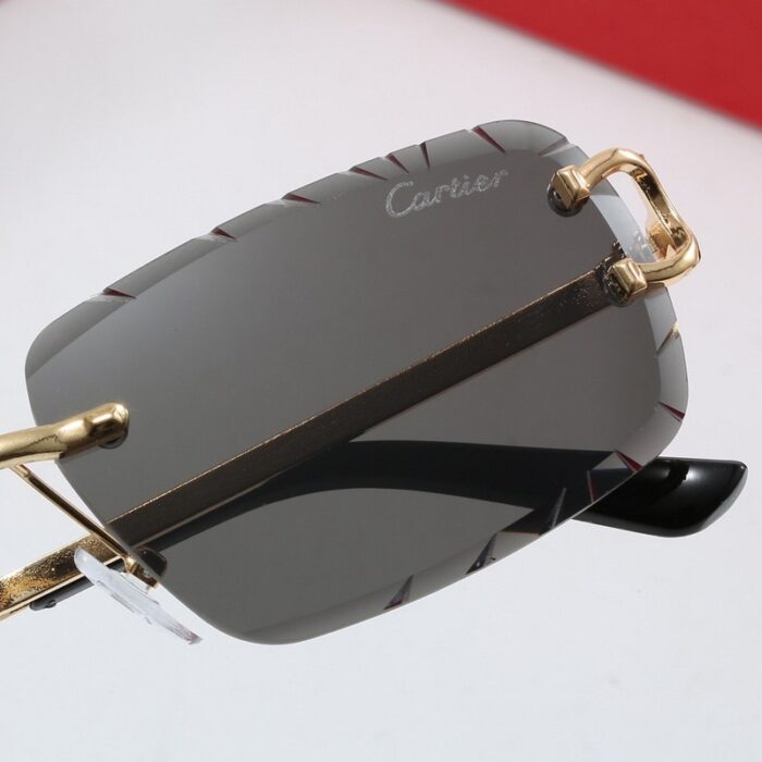 Sunglasses Cartier CTR007 - Image 8