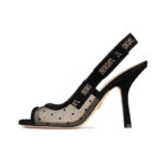 Dior High Heel Mary Jane Black DO071