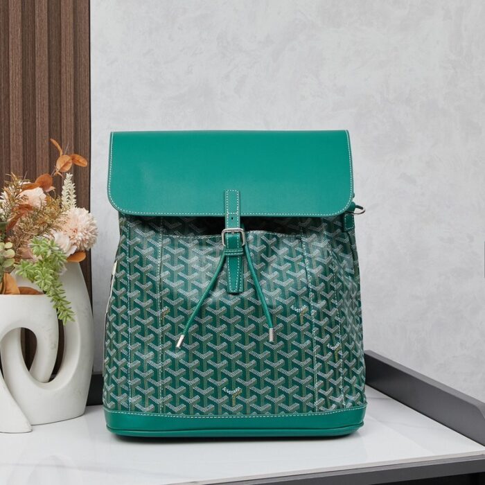 Goyard Alpin MM Backpack Green Bag GYD008 - Image 1