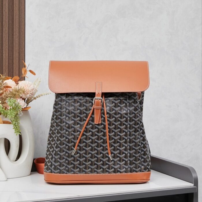 Goyard Alpin MM Backpack Brown Bag GYD009 - Image 1