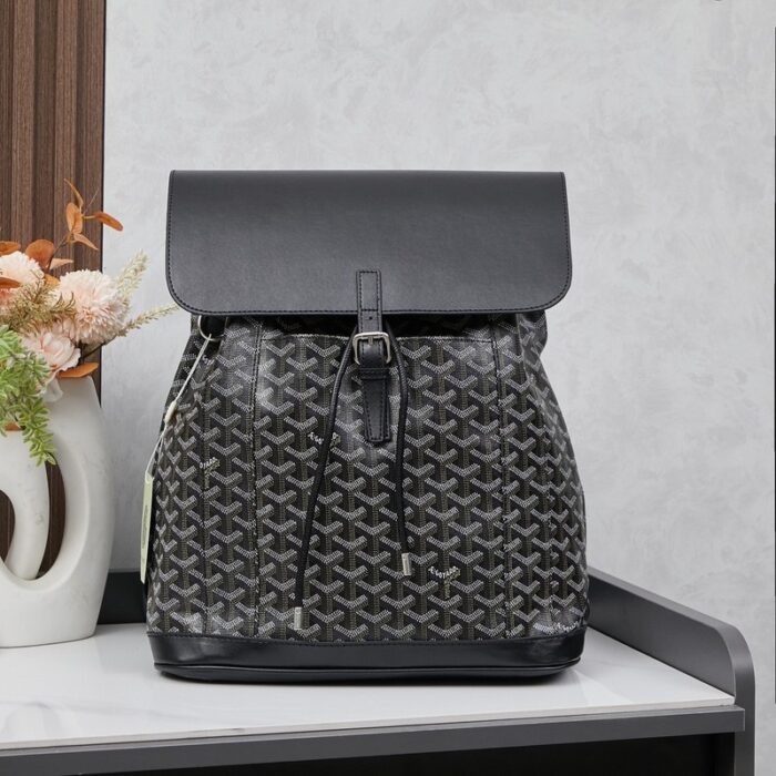 Goyard Alpin MM Backpack Black Bag GYD011 - Image 1