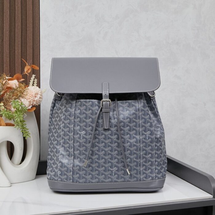 Goyard Alpin MM Backpack Gray Bag GYD014 - Image 1