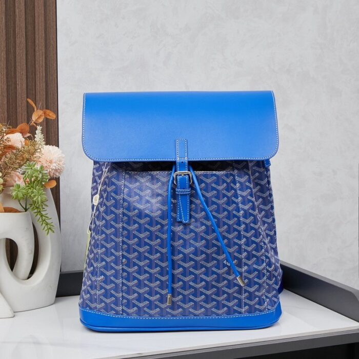Goyard Alpin MM Backpack Blue Bag GYD016 - Image 1
