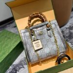 Gucci Diana Nano Bag Silver GC256