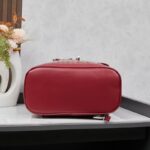 Goyard Alpin MM Backpack Red Bag GYD012 - Image 4