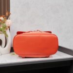 Goyard Alpin MM Backpack Orange Bag GYD013 - Image 4