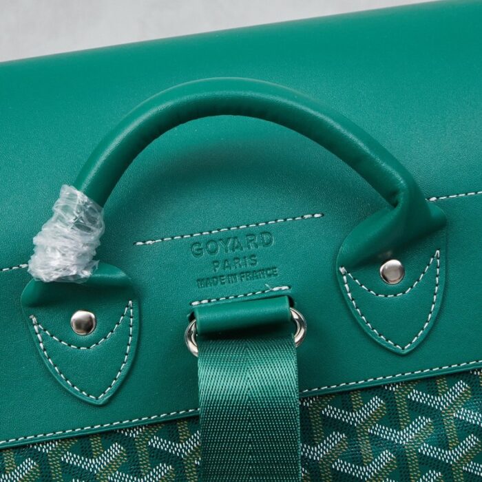 Goyard Alpin MM Backpack Green Bag GYD008 - Image 5