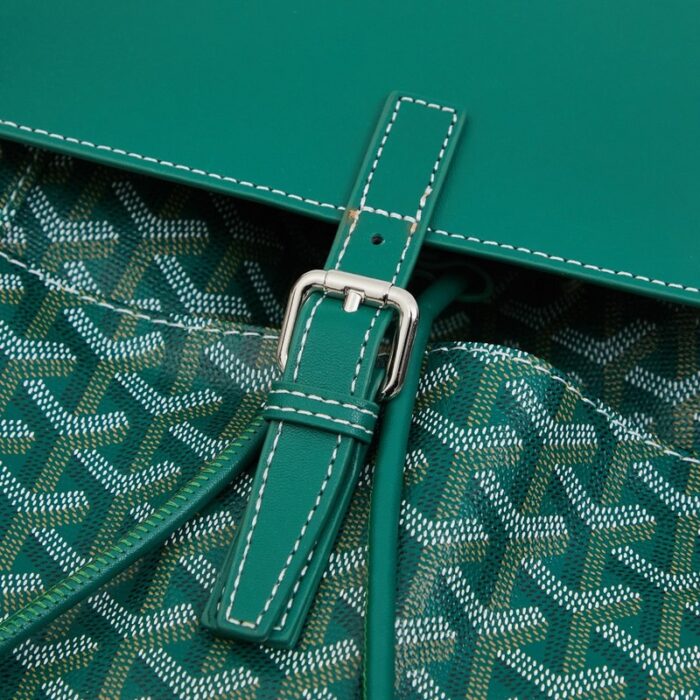 Goyard Alpin MM Backpack Green Bag GYD008 - Image 6
