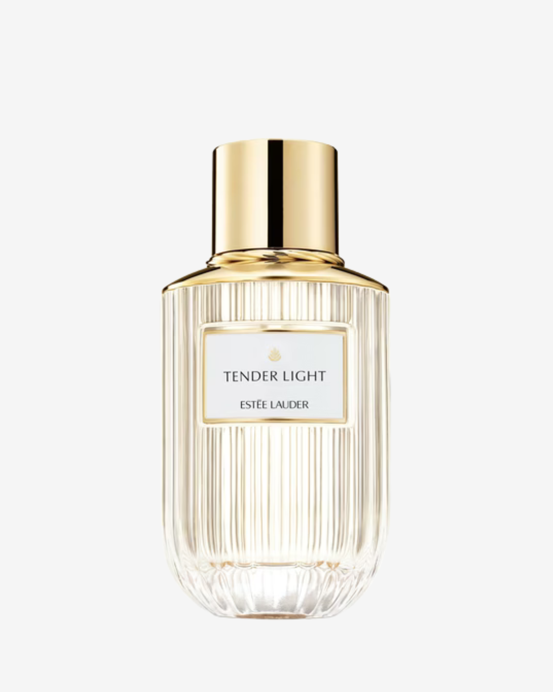 L4H 2 Fragrance Tender Light - Image 1